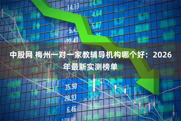 中股网 梅州一对一家教辅导机构哪个好：2026年最新实测榜单