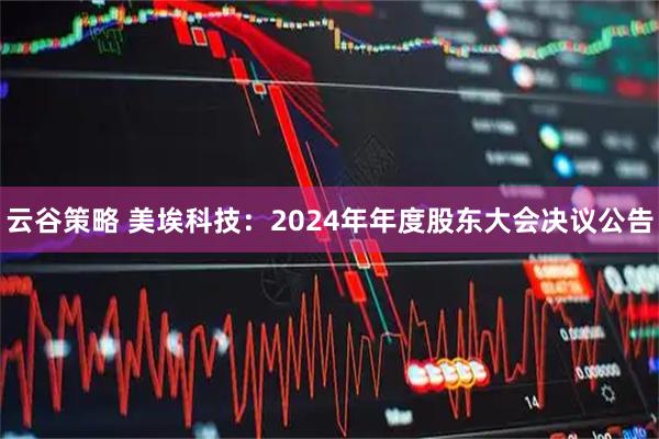 云谷策略 美埃科技：2024年年度股东大会决议公告
