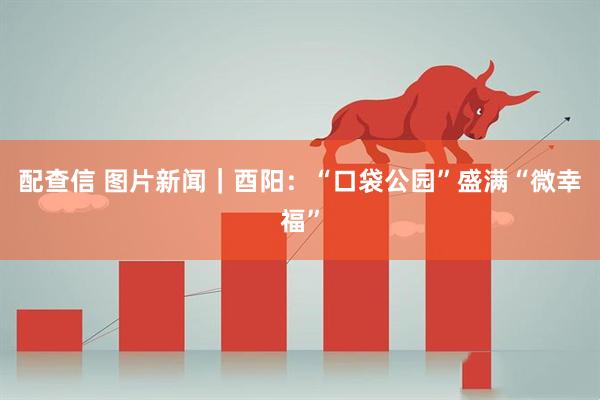 配查信 图片新闻｜酉阳：“口袋公园”盛满“微幸福”