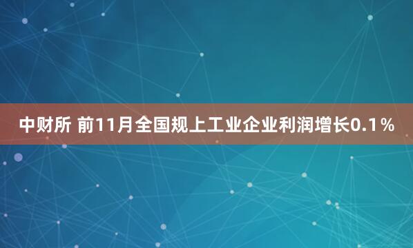 中财所 前11月全国规上工业企业利润增长0.1％