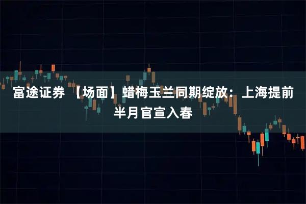 富途证券 【场面】蜡梅玉兰同期绽放：上海提前半月官宣入春