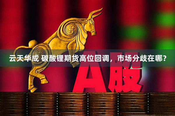 云天华成 碳酸锂期货高位回调，市场分歧在哪？